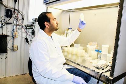 Low-Res_Hafiz Usman Aslam lab