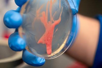 Low-Res_Ralstonia-Bacteria-UCD-28