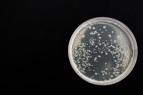 bacteria-359956_1920