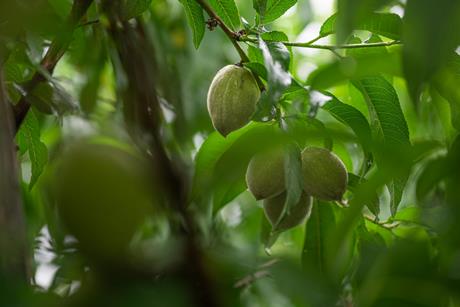 pexels-chris-f-38966-8427067