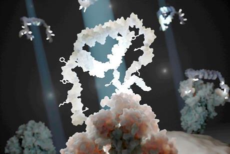 Low-Res_adjusted_medusa_epfl_press_release_condensed