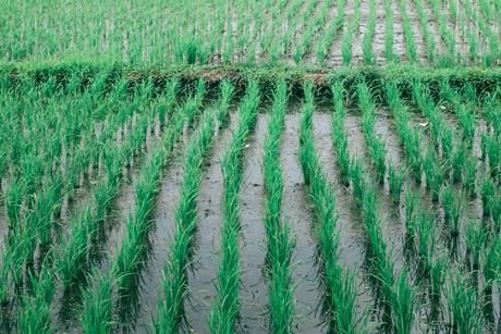 pexels-orlovamaria-4913526 (1)