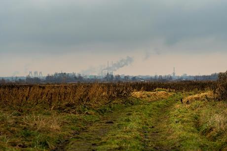 pexels-michalrobak-29756757