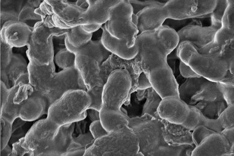 Screenshot 2026-03-23 140548