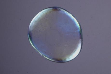 Low-Res_Birefringent film