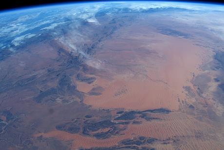 Afternoon_in_Africa_(49321857721)