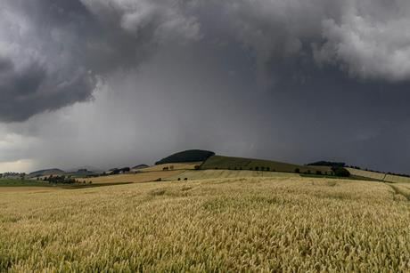 pexels-keith-proven-152665315-12248016