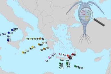 Low-Res_copepod microbiome map