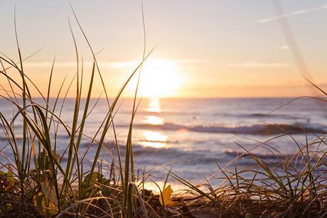 pexels-mastercowley-2403929