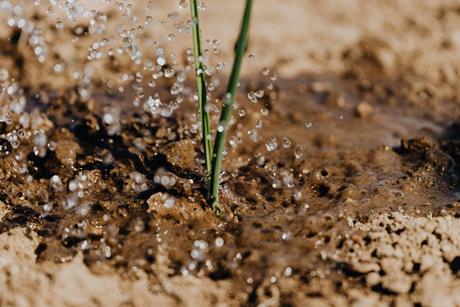 pexels-karola-g-4207907