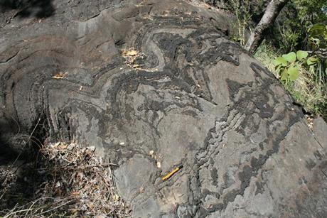 Low-Res_Stromatolites investigated in the study found in the Cheshire Formation of the Belingwe greenstone belt, Zimbabwe. Photo Prof Axel Hofmann