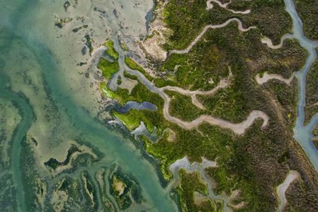 pexels-florian-gobert-1851911468-28884900