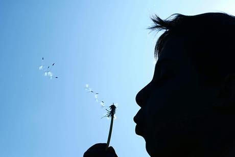 pexels-otto-rhino-247210515-12430624