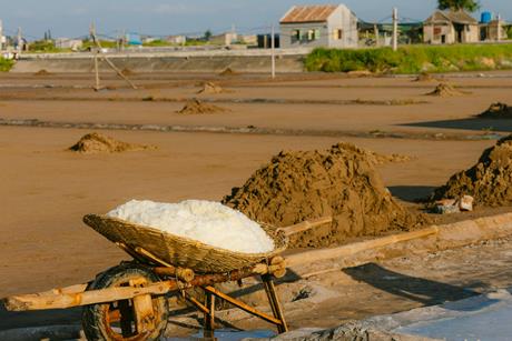 pexels-hson-27098281