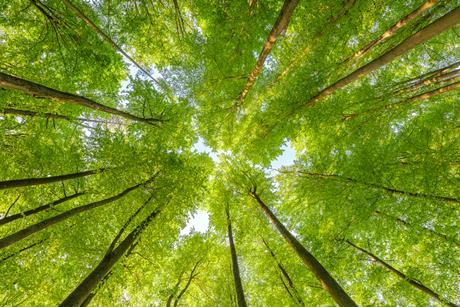iStock-1659684092 (1)
