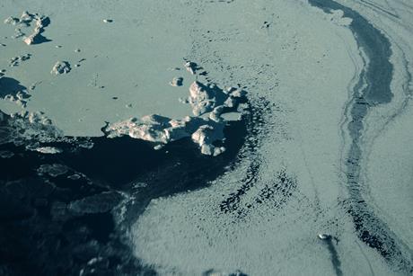 pexels-nikita-grishin-128711293-10488866