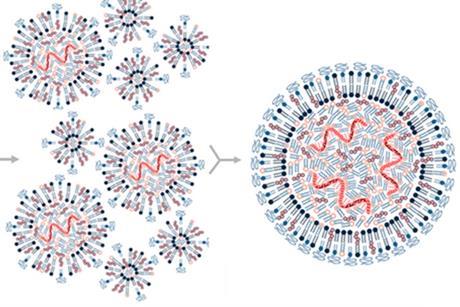 Vaccines-09-00065-g002.webp