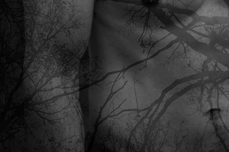 pexels-darya-grey_owl-132130036-18512771