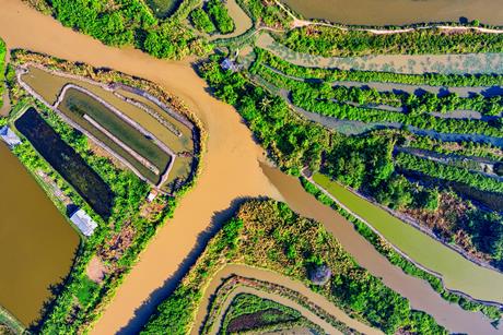 pexels-tomfisk-2675373