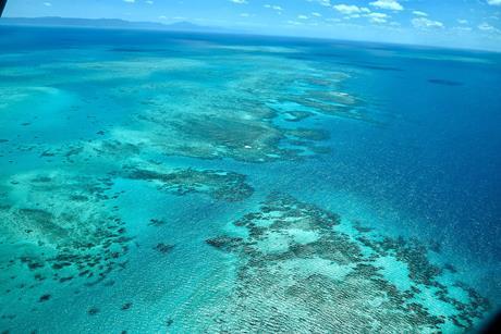 The_Great_Barrier_Reef,_Queensland,_Cairns_(Ank_kumar)_03
