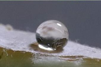 Low-Res_fungal-waterproof-coatings-HR