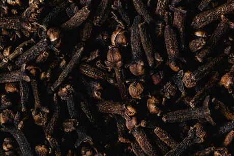 pexels-eva-bronzini-6087276