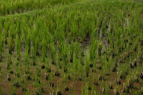 pexels-alexeydemidov-10658534