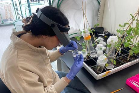 Low-Res_ResearcherCountsAphidonPeasinCage