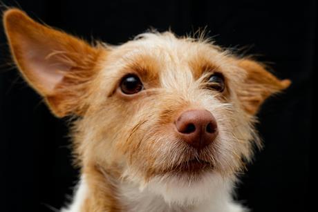 pexels-larry-penaloza-311813562-13776239