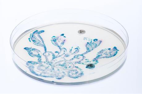 Wild_garden_of_the_gut_bacteria_6