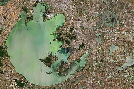 Satellite image of Lake Tai showing green algal bloom