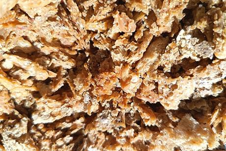 Dried_yeast_01
