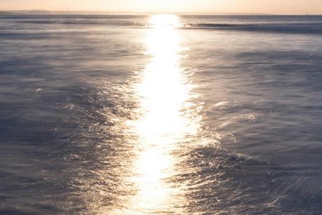 pexels-marek-piwnicki-3907296-15523132