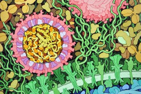 197-Zika_Virus-ZikaVirus.tif
