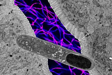 Low-Res_KKT8 image_1