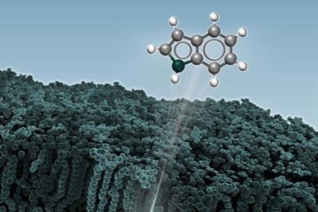 Low-Res_Lepori_Front_Cover1 (1)