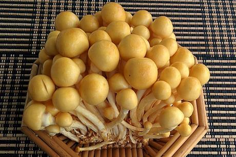 42_-_IMG_20150804_122323