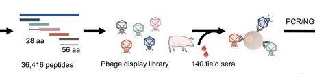 Low-Res_图片31