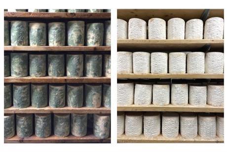 Low-Res_Photos of cheese wheels in 2016 on left and in 2022 on right