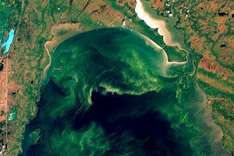 Lake_Winnipeg_Algae_Crisis_(46200453694)