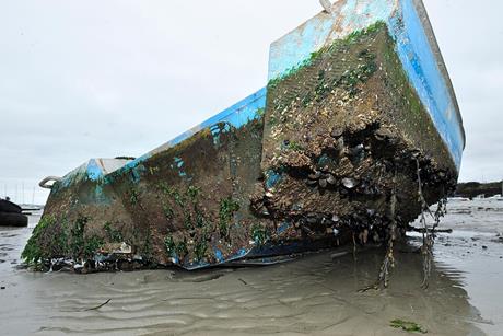 Biofouling_sur_une_embarcation_côtière_(Ifremer_00555-66701_-_43691)