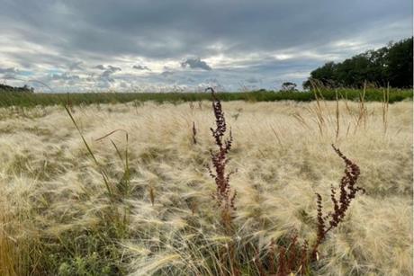 Low-Res_Picture3_Steffenson