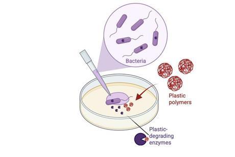 Low-Res_Graphical_Abstract