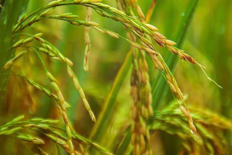 sergio-camalich-4Fzp6z40Jhs-unsplash