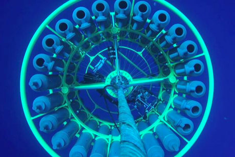 Low-Res_HOT_video_preview_CTD rosette