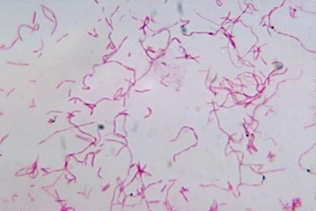 14123_2967_lores_595544_crop