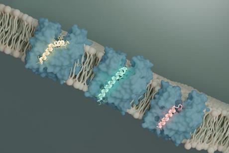 Low-Res_Clemons_Bil-Li_Evelyn-MurJ_20260212-WEB