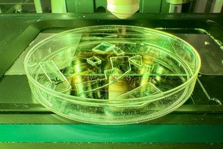 Low-Res_26055-Antiviral Spikes-FINAL-Web-1