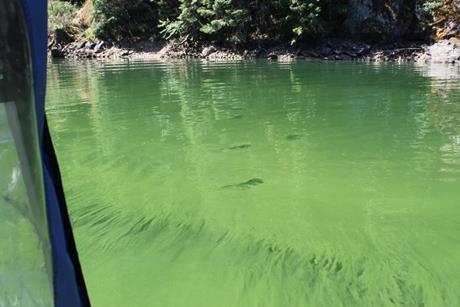 Low-Res_54917234391_b2d5067e76_k