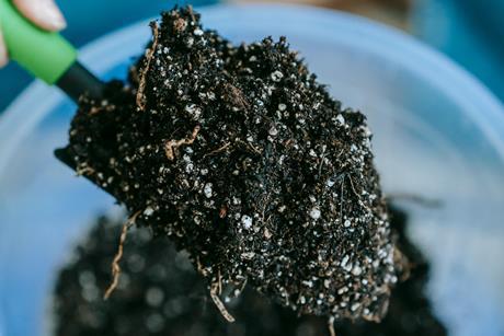 pexels-teona-swift-6913399